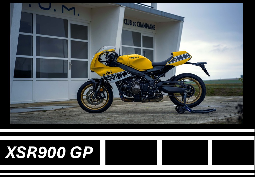 XSR900 GP　「イエロー」展示中です。